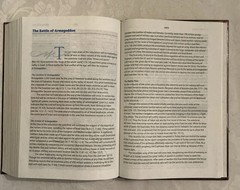 NIV Prophecy Marked Reference Study Bible 1998 Hardcover